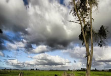 [棋牌]新年首项围棋大赛来了 39届同里杯天元赛北京开幕.