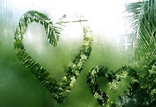 1-1,恩加德乌染红酿苦果,10人北京国安遭中超第11逼平,2轮不胜.