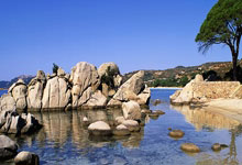 问鼎娱乐官网：辽鲁对决杨鸣怒怼技术台，邱彪与陶汉林争吵，指出球员缺乏自信心.